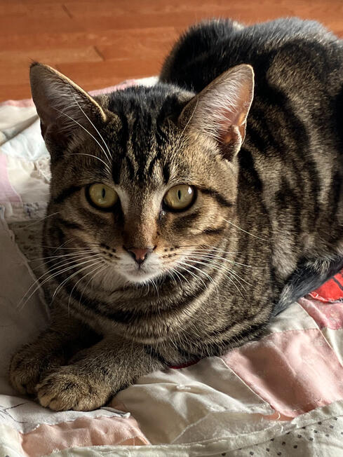 pretty girl rin relaxing