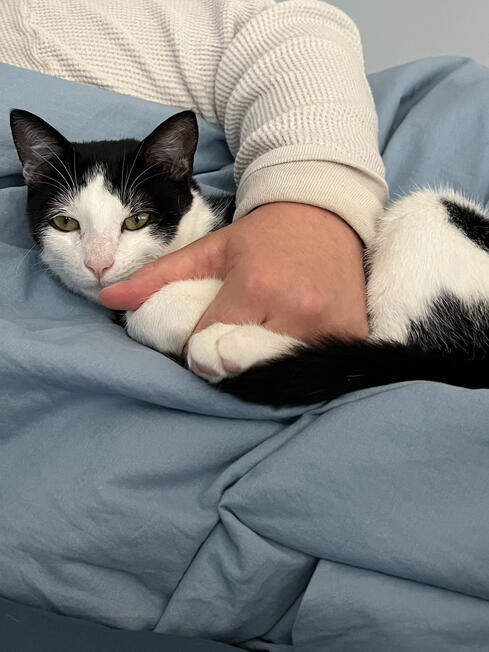 the best little spoon :'-)