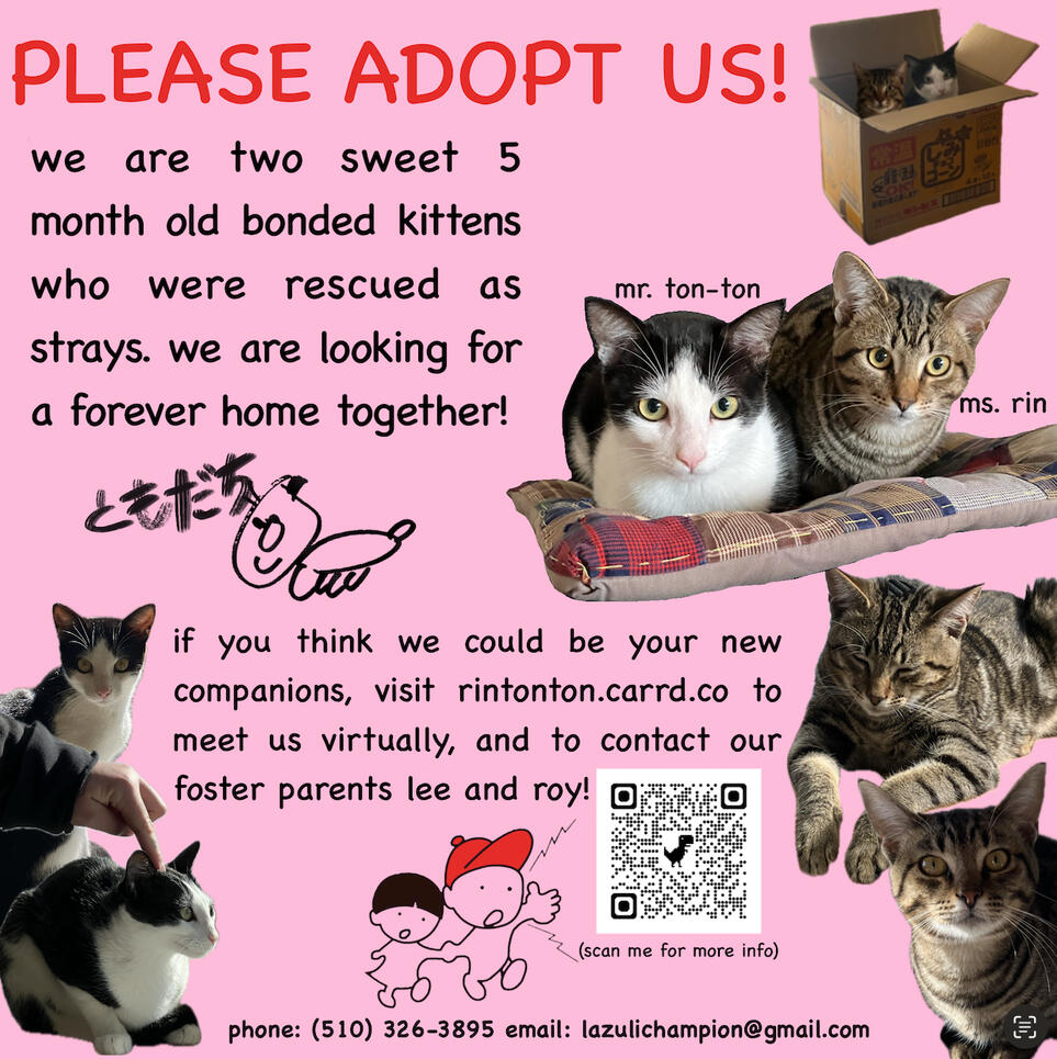 share this to help us find these babies a home! a poster advertising rin and ton-ton, two kittens up for adoption. large blue text reading "adopt us!" arcs over a picture of rin and ton-ton cuddling on a white towel.